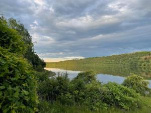 a view of a river with trees and a field at Modernes Ferienhäuschen am Zeulenrodaer Meer mit Terrasse, Klimaanlage, 1 SZ, max 3 Gäste in Zeulenroda