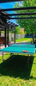 a ping pong table sitting in the middle of a park at Alpine Crown in Zărneşti +32 photos