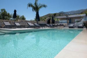 a swimming pool with chairs and a palm tree at Villa Manel in Georgioupoli