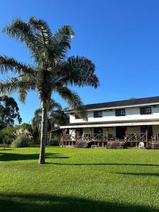 a palm tree in front of a building at Cabañas del Paraiso in Colón