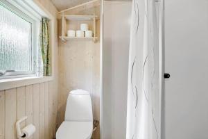 a small bathroom with a toilet and a shower at LF694-Hurup-Thy-Haettemagevej-8 in Sindrup +25 photos