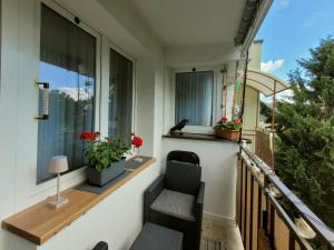 a balcony with a chair and a bird on a window at Apartament Skansen - Sanok in Sanok