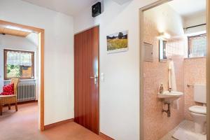a bathroom with a toilet and a sink at Ferienhaus Isele in Feldberg +141 photos