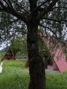 a house with a red roof and a tree at Helios racha in Ambrolauri