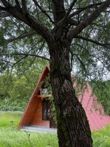 a small house with a tree in front of it at Helios racha in Ambrolauri