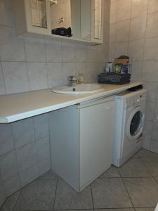 a kitchen with a sink and a washing machine at Apartement with selfcatering in Buchs