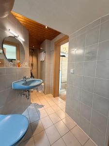 a bathroom with a blue sink and a mirror at Alpenhof Wallgau in Wallgau +134 photos