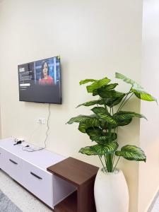 a living room with a plant and a tv on a wall at Modern 1BR Apartment with Pool & Sauna Kampala in Kira