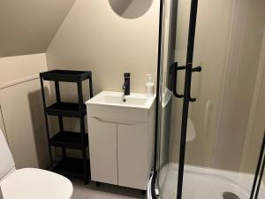 a bathroom with a sink and a shower and a toilet at Forest nine Villa Apartments in Kuusalu +25 photos