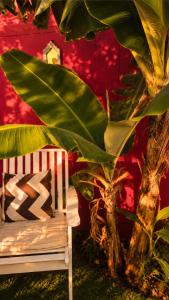 a white chair next to a plant next to a red wall at MARRAKECH פלא - PELEH - Queit place 3 km from the beach of Cesarea in Or ‘Aqīvāh