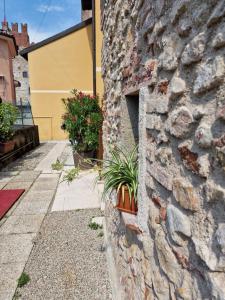 a stone wall with a plant in a pot at Sotto la Torre in Marostica