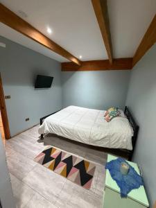 a bedroom with a bed and a rug on the floor at departamento de interior Pucón in Pucón