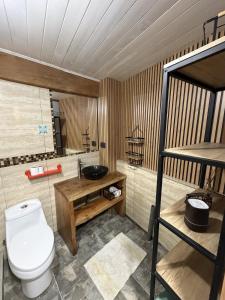 a bathroom with a toilet and a sink at departamento de interior Pucón in Pucón