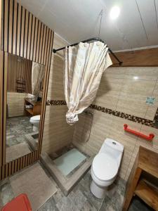 a bathroom with a toilet and a shower at departamento de interior Pucón in Pucón