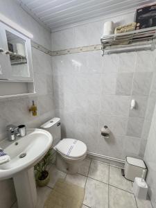 a white bathroom with a toilet and a sink at 4 seasons home Ofrinio in Ofrínion +35 photos