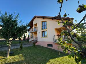 a large house with a yard with a tree at Casa DaLi in Sibiu