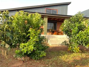 a house with two trees in front of it at Buye Holiday House in Mwanza