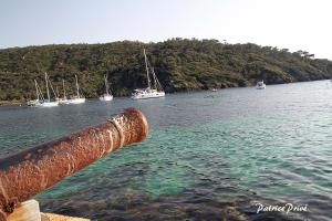 ein Rohr aus dem Wasser mit Booten im Wasser in der Unterkunft La MAISON du PORT in Port-Cros