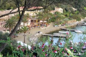 a town with a marina with palm trees and buildings at La MAISON du PORT in Port-Cros