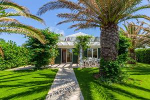 a palm tree in front of a house at Villa Jaume in Cala en Bosc