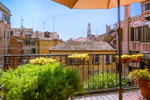 a balcony with potted plants on a building at Hotel Falier in Venice