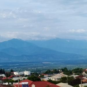 a view of a city with a mountain in the background at Telavi ERMA in Telavi +6 photos