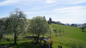 a green field with trees and a fence at Weingut Bernhard in Daisendorf