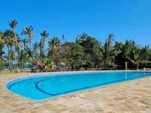 a swimming pool at a resort with palm trees at Beachfront Studio in Diani Beach +2 photos