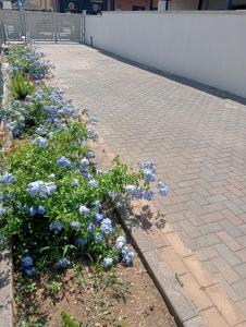 ein Garten mit blauen Blumen auf einem Backsteinpflaster in der Unterkunft Dimora Cristella in Eboli
