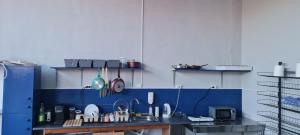 a kitchen with blue and white walls and a sink at Zoon on in Costinesti