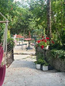 a garden with a table and chairs and potted plants at Kamp Seosko domaćinstvo Radman in Herceg-Novi