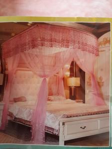 a pink canopy bed with a pink drape at Royal guest home in Mokowe