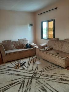 a living room with two couches and a couch at Royal guest home in Mokowe