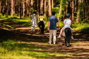 a group of people riding horses on a trail at Familotel Borchards Rookhus in Wesenberg