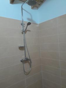 a shower with a shower head in a bathroom at Studio LAVANDES in Lamentin +11 photos
