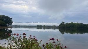a view of a lake with flowers in the foreground at บ้านสวนริมอ่าง in Phayao