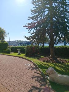 a white dog laying on the grass next to a tree at Battery Lodge in Rothesay