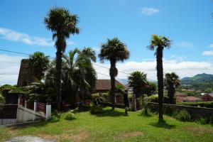 a group of palm trees in a yard at Casa-Stella-Azores in Capelas