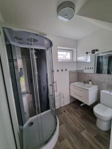 a bathroom with a shower and a toilet and a sink at Vila DRAGONFLY in Šventoji +48 photos