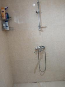 a bathroom with a shower with a glass door at Aisi in Stantsiya Sagaredzho +5 photos