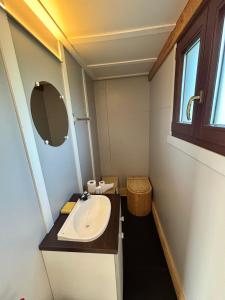 a small bathroom with a sink and a mirror at Chalets flottants lac de Saint Étienne Cantalès in Saint-Gérons