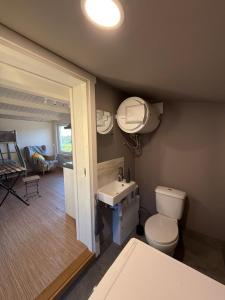 a bathroom with a toilet and a sink at Rävboet in Österbi