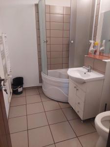 ein Badezimmer mit Dusche, Toilette und Waschbecken in der Unterkunft Home2 in Fălticeni