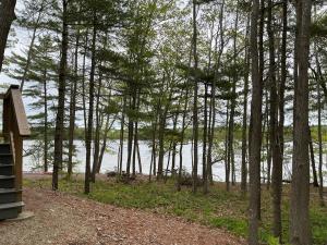 a view of a body of water through the trees at Rivers Edge Cabins - Tranquil Nook in Cushing +3 photos