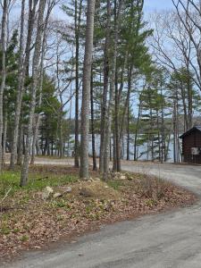 a road next to a lake with trees and a house at Rivers Edge Cabins - Tranquil Nook in Cushing