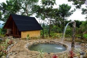 a small pond in a garden with a water fountain at Cacao Glamping Lodge & Experience in Cotundo