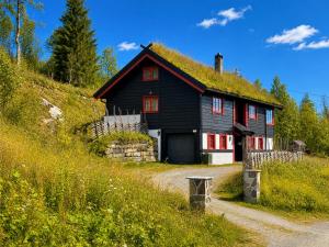 a black house with a grass roof on a hill at Spacious cabin with beautiful Geilo views in Geilo