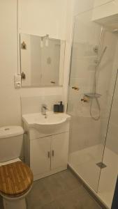 a bathroom with a toilet and a sink and a shower at Maison du golf in Nassigny