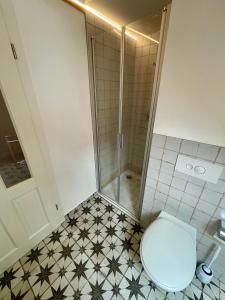 a bathroom with a toilet and a shower at Belmonte in Sulzbach-Rosenberg