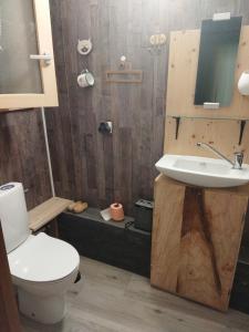 a bathroom with a toilet and a sink at Tiny House cosy, jardin romantique forestier, route du vin, sentiers in Lalaye +39 photos